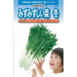 Other - 水菜 種 【 みずみずしい菜冬 】 種子 2dl （ 種 野菜 野菜種子 野菜種 ）