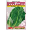 西洋野菜 種 【 コスレタスフレンディー 】 コート80粒 ( 西洋野菜の種 )