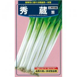 ネギ 種 【 秀蔵 】 種子 小袋（約20ml） （ 種 野菜 野菜種子 野菜種 ）