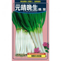 秋季蔬菜 - ネギ 種 【 元晴晩生 】 種子 2dl （ 種 野菜 野菜種子 野菜種 ）