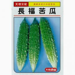 樂天商城 - ゴーヤ 種 【長福】 6粒 （ 種 野菜 野菜種子 野菜種 ）