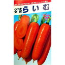 にんじん 種 【 らいむ五寸 】 種子 コート1万粒 ( 種 野菜 野菜種子 野菜種 )