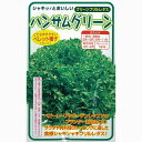 レタス 種 【 レタスハンサムグリーン 】 種子 Lコート1000粒 （ 種 野菜 野菜種子 野菜種 ）