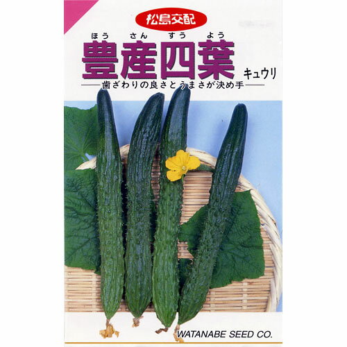 メール便で10袋まで同梱できます。 種子と責任種子は努めて純良なものをご用意しておりますが、商品の性質上100%の純度や発芽は望めません。商品の包装等に記載のある、発芽試験結果を満たした商品をお届けいたします。発芽は播種後の条件により結果が異なるため、温度や水分などを品目ごとに適した条件下で管理してください。不適条件下では発芽しないことがあり、また100%同一ではなく、まれに異株が出る場合がございます。種子・苗などについて、発芽後および植えつけ後の栽培条件や天候などによって結果が異なりますので、商品の生長後や収穫物に対する補償はいたしかねます。また商品の性質上、結果不良につきましてはお買い上げ金額の範囲内とさせていただきます。(お客様の栽培管理や気象条件による結果不良につきましては、その責任を負いかねます)独自に加工されたものや、お届け後に有効期限を超えられたものにつきましては責任を負いかねます。野菜などの収穫物については、品種の特性や栽培条件などにより生育に差が生じることがあり、収穫物のサイズ、重量、味などは掲載表現と異なる場合がございます。豊産四葉 強勢・耐病・豊産近成四葉系の最高級種!!歯ざわりのよい四葉胡瓜の代表種です。夏節成りと四葉の一代交配種で、側枝は少ないほうですが、主枝主体の雌花着生できわめて豊産です。果は四葉に比べてやや短く、イボ、シワが少なく品質は一段と優れています。 きゅうりの種 蒔き方(※数値はあくまでも目安です。特に、畝幅や条数・播種方法などは栽培方法を限定するものではありません） 播種方法 分類 畝幅 （cm） 条数 （条） 株間 （cm） 10a当たり 株数 10a当たり 播種量 10a当たり 播種量（粒数） 20ml当たり 粒数 &nbsp; 　 270 2 60 1,200 0.8〜1dl 1,920〜2,400 480 コンセントにつなぐだけで簡単に温度管理が出来る「家庭用発芽・育苗器」が登場！種から挑戦したい家庭菜園の方におすすめです。小袋種子の内容量表記について農作物である商品の特性上、小袋パッケージの商品に関しましては、販売時期により、内容量が変更になる場合があります。商品名に内容量が記載されている場合がございますが、あくまで目安であり、1mlほど前後するものとお考え下さい。また、内容量が増減したことによる価格の変更もありません。あらかじめご了承いただいた上で、ご注文をお願いいたします。