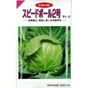 キャベツ 種 【 スピードボール2号 】 種子 20ml ( 種 野菜 野菜種子 野菜種 )