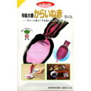 大根 種 【 辛味大根からいね赤 】 種子 2dl ( 種 野菜 野菜種子 野菜種 )