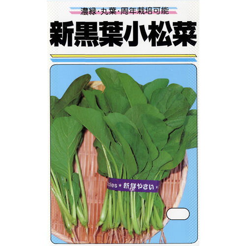 小松菜 種 【新黒葉小松菜】 小袋（約20ml） （ 種 野菜 野菜種子 野菜種 ）のサムネイル