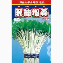 三つ葉 種 【 晩抽増森みつば 】 種子 小袋(約2dl) ( 種 野菜 野菜種子 野菜種 )(発芽率70%)
