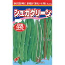 いんげん 種 【シュガグリーン】 1dl ( 種 野菜 野菜種子 野菜種 )