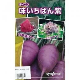 大根 種 【味いちばん紫】 50粒 （ 種 野菜 野菜種子 野菜種 ）