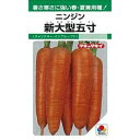 にんじん 種 【 新大型五寸 】 種子 小袋(約1dl) ( 種 野菜 野菜種子 野菜種 )