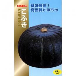 かぼちゃ 種 【こふき】 500粒 （ 種 野菜 野菜種子 野菜種 ）