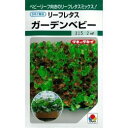 レタス 種 【 リーフレタス ガーデンベビー 】 種子 小袋(約20ml) ( 種 野菜 野菜種子 野菜種 )