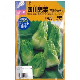 漬け菜 種 【四川児菜】 小袋（約200粒） （ 種 野菜 野菜種子 野菜種 ）のサムネイル