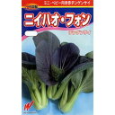 ちんげん菜 種 【ニイハオ・フォン】 小袋 ( 種 野菜 野菜種子 野菜種 )