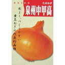 たまねぎ 種 【泉州中高黄大玉葱(中生)】 20ml ( 種 野菜 野菜種子 野菜種 )