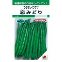 つるなしいんげん 種 【 恋みどり 】 小袋(GF 45ml) ( つるなしいんげんの種 )