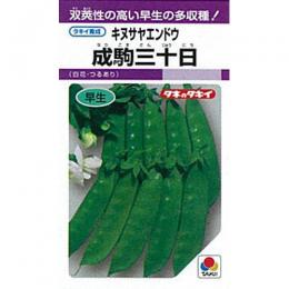 きぬさやエンドウ 種 【成駒三十日】 1L ( 種 野菜 野菜種子 野菜種 )