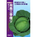 キャベツ 種 【 飛鳥三季穫り 】 種子 小袋（約0.7ml） （ 種 野菜 野菜種子 野菜種 ）