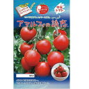 トマト 種 【アマルフィの誘惑】 100粒 ( 種 野菜 野菜種子 野菜種 )