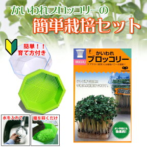 ブロッコリースプラウト 栽培セット 【 簡単栽培セット (栽培容器付き) 】[ 種 販売 通販]