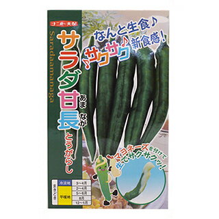 トウガラシ 種 【 サラダ甘長 】 小袋（約20粒） （ 種 野菜 野菜種子 野菜種 ）