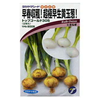 たまねぎ 種 【 トップゴールド305 】 小袋 （ 種 野菜 野菜種子 野菜種 ）のサムネイル