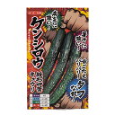 キュウリ 種 【 ケンシロウ 】 小袋(18粒) ( 種 野菜 野菜種子 野菜種 )