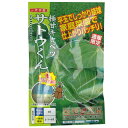キャベツ 種 【 サトウくん 】 種子 小袋(コート40粒) ( 種 野菜 野菜種子 野菜種 )