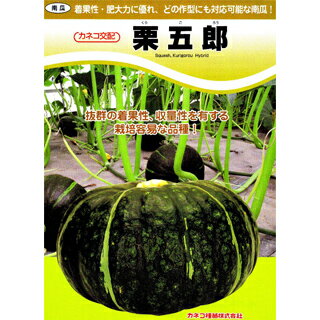 カボチャ 種 【 栗五郎 】 小袋（11粒） ( カボチャの種 )