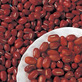 小豆 種 【 丹波大納言 】 1dl ( 小豆の種 ) | 農業屋.com