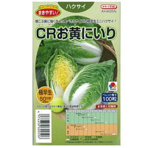 白菜 種 【 ＣＲお黄にいり 】 小袋（ペレット100粒） （ 種 野菜 野菜種子 野菜種 ）