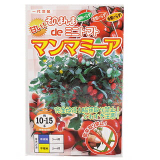 トマト 種 そのまんまｄｅミニトマト マンマミーア 500粒 種 野菜 野菜種子 野菜種 菜園くらぶ 家庭菜園の専門店