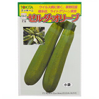 ズッキーニ 種 【 ゼルダオリーブ 】 小袋（100粒） （ 種 野菜 野菜種子 野菜種 ）