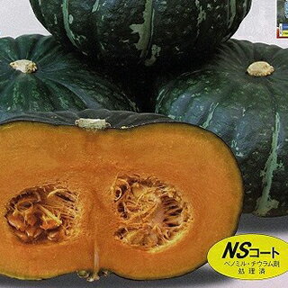 カボチャ 種 【 栗ざんまい（NS-027） 】 100粒 ( カボチャの種 )