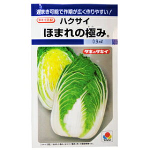 白菜 ほまれの極み ＤＦ（０．９ｍｌ）【はくさい　ハクサイ 早生種 耐病性 】 小袋 （ 種 野菜 野菜種子 野菜種 ）