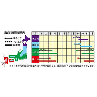 ホウレンソウ 種 【 プロースト11 】 1dl ( ホウレンソウの種 )