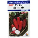 ダイコン 種 【 紅三太 】 小袋(約7.0ml) ( ダイコンの種 )