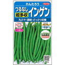 つるなしインゲン 種 【 れんたろう 】 実咲小袋 ( インゲンの種 )