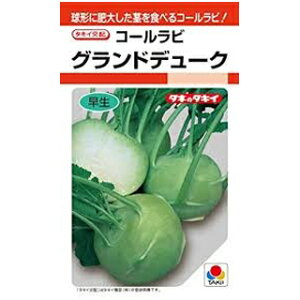 キャベツ 種 【グランドデューク】 ＲＦ 約1.6ml （ 種 野菜 野菜種子 野菜種 ）