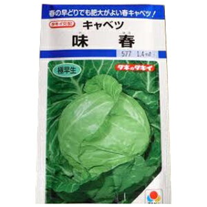 キャベツ 種 【味春】 ＤＦ 1.4ml （ 種 野菜 野菜種子 野菜種 ）