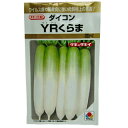 大根 種 【YRくらま】 20ml ( 種 野菜 野菜種子 野菜種 )
