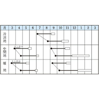 大根 種 【 耐病総太り 】 小袋 DF ( ...の紹介画像2