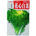白菜 種 【花芯白菜】 8ml ( 種 野菜 野菜種子 野菜種 )