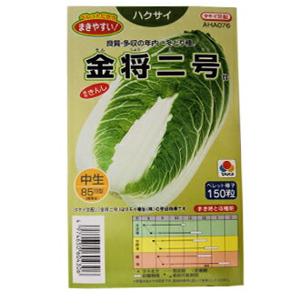 白菜 種 【 金将二号 】 小袋（ペレット150粒） （ 種 野菜 野菜種子 野菜種 ）
