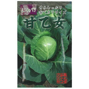 キャベツ 種 【 ミニキャベツ 甘乙女 】 種子 小袋（約1ml） （ 種 野菜 野菜種子 野菜種 ）