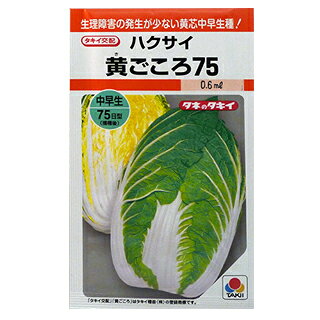 この商品はメール便不可です。宅配便でのお届けとなります。種子と責任種子は努めて純良なものをご用意しておりますが、商品の性質上100%の純度や発芽は望めません。商品の包装等に記載のある、発芽試験結果を満たした商品をお届けいたします。発芽は播種後の条件により結果が異なるため、温度や水分などを品目ごとに適した条件下で管理してください。不適条件下では発芽しないことがあり、また100%同一ではなく、まれに異株が出る場合がございます。種子・苗などについて、発芽後および植えつけ後の栽培条件や天候などによって結果が異なりますので、商品の生長後や収穫物に対する補償はいたしかねます。また商品の性質上、結果不良につきましてはお買い上げ金額の範囲内とさせていただきます。(お客様の栽培管理や気象条件による結果不良につきましては、その責任を負いかねます)独自に加工されたものや、お届け後に有効期限を超えられたものにつきましては責任を負いかねます。野菜などの収穫物については、品種の特性や栽培条件などにより生育に差が生じることがあり、収穫物のサイズ、重量、味などは掲載表現と異なる場合がございます。黄ごころ75 (白菜) 科名 アブラナ科 発芽適温 20〜25゜C 生育適温 20゜C前後 発芽日数 3〜5日 白菜の種 蒔き方(※数値はあくまでも目安です。特に、畝幅や条数・播種方法などは栽培方法を限定するものではありません） 播種方法 種子形態 畝幅 （cm） 条数 （条） 株間 （cm） 10a当たり 株数 10a当たり 播種量 10a当たり 播種量（粒数） 20ml当たり 粒数 育苗 裸 60〜70 1 45〜50 2,800〜3,700 30〜40ml 5,250〜1万 3,500〜5,000 ペレット 60〜70 1 45〜50 2,800〜3,700 　 3,500〜4,500 　 直まき &nbsp; 60〜70 1 45〜50 2,800〜3,700 80〜100ml 1.4万〜2万 3,500〜5,000 ※ミニサイズの場合は株間20〜25cm※直蒔き時は点蒔き