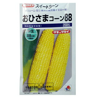 とうもろこし 種 【おひさまコーン88】 200粒 ( 種 野菜 野菜種子 野菜種 )