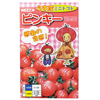 ミニトマト 種 【 ピンキー 】 小袋 15粒 ミニトマトの種 