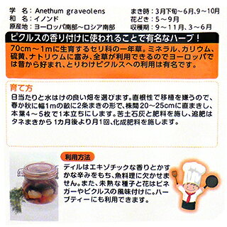 ハーブ 種 【 ディル 】 種子 小袋 （ 種 野菜 野菜種子 野菜種 ）（タキイ）